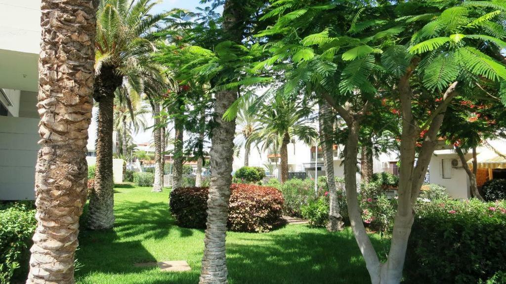 Primavera Appartement Tot 7 Personen Ideaal Voor Backpackers Arona (Tenerife) Exterior foto